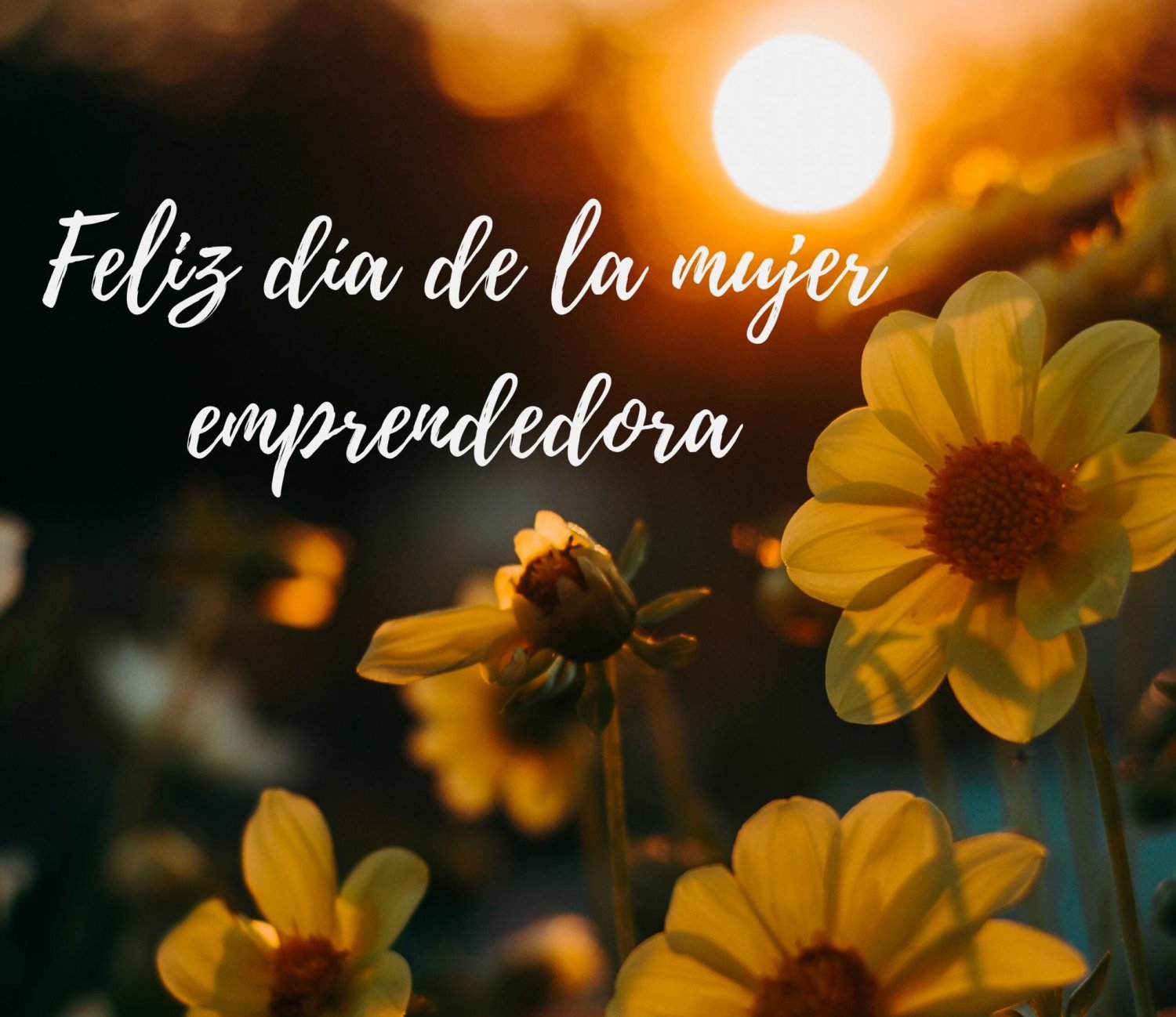 Día Mundial de la Mujer emprendedora